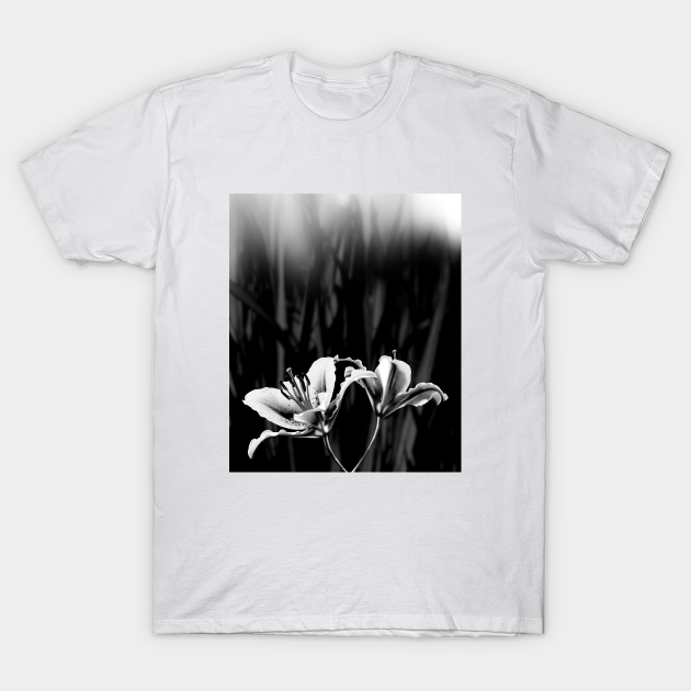 Mist Mist TShirt TeePublic